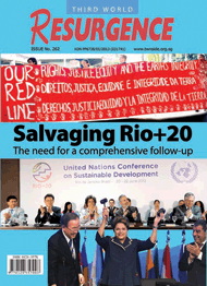COVER Salvaging Rio+20 The need for a comprehensive follow-up